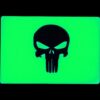 TEC Accessories Inc Embrite Morale Patch, Beacon, Punisher, Green