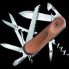Victorinox Evowood 17 Walnut