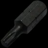 Victorinox Bit for SwissTool, Torx 20