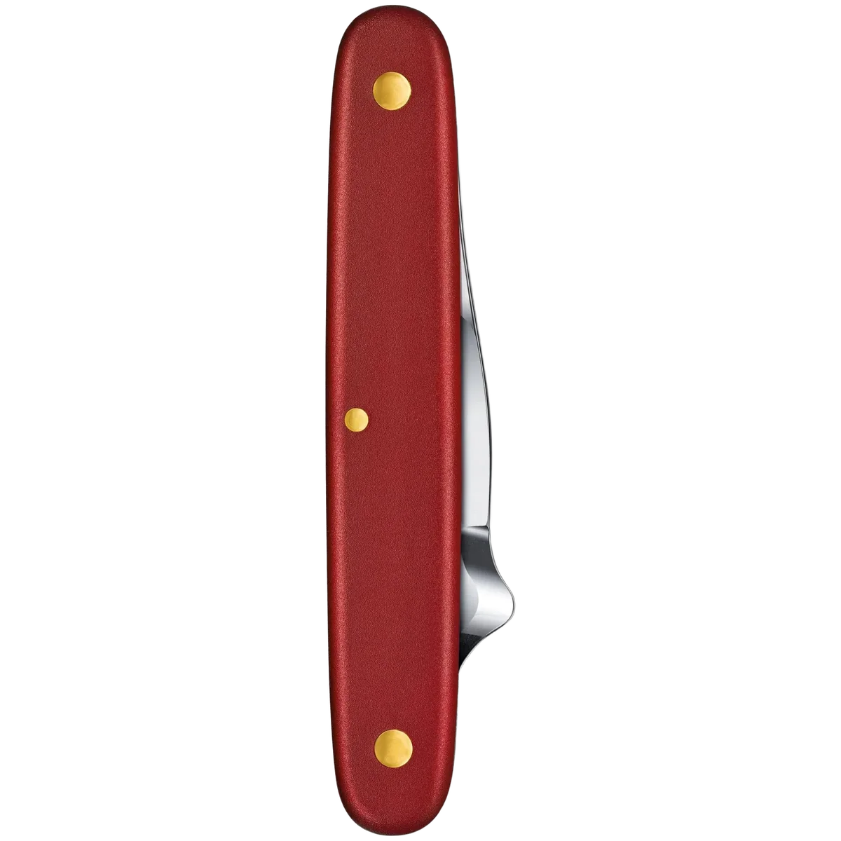 Victorinox Budding Knife Combi S, red - Image 4