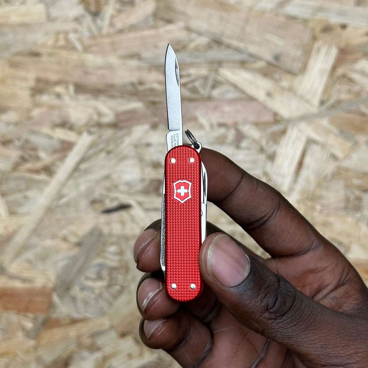 Victorinox Classic SD Alox Sweet Berry - Image 2