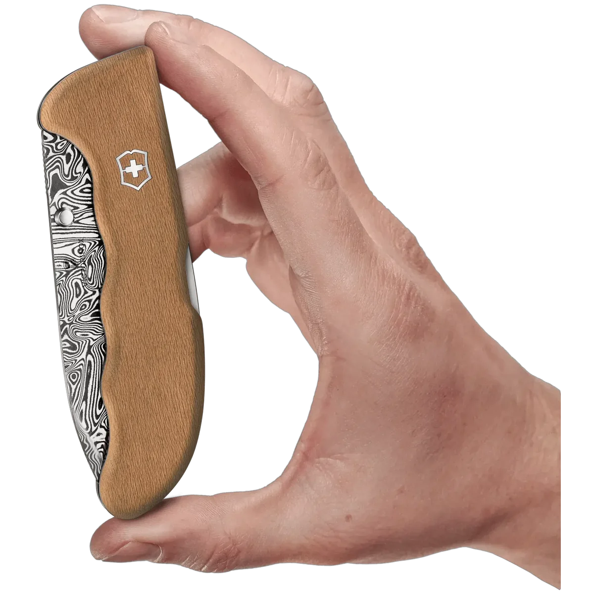 Victorinox Evoke, Damast Limited Edition 2026 - Image 4