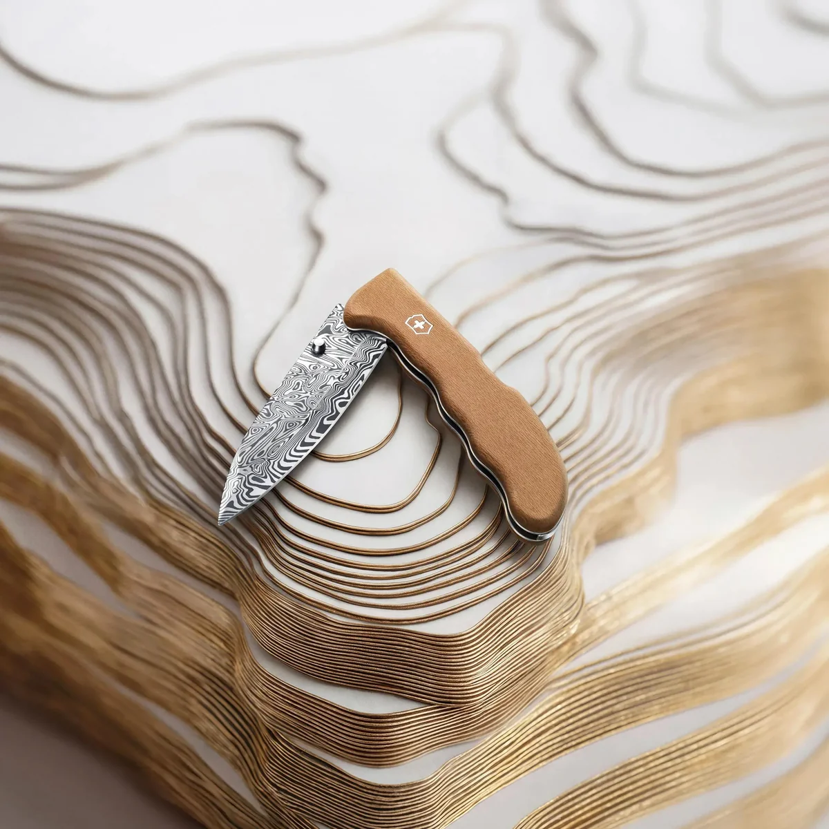 Victorinox Evoke, Damast Limited Edition 2026 - Image 5